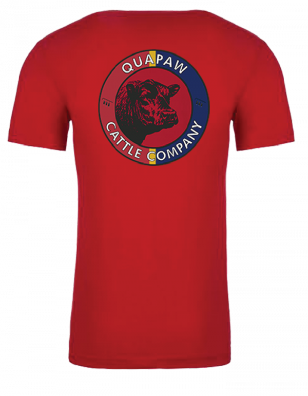 QCC T-Shirts Short Sleeve - Image 4