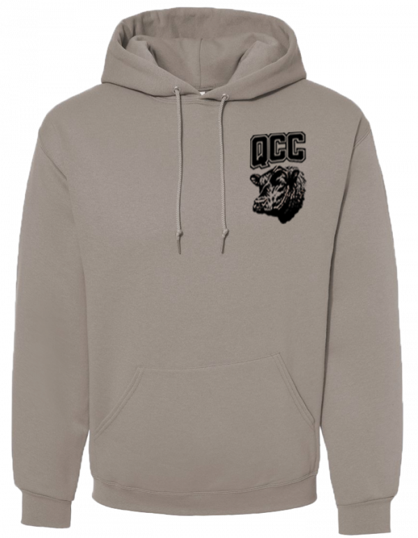 QCC Hooded Sweatshirt - Image 6