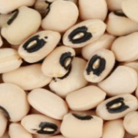 Cream-colored cowpea beans with black eye markings