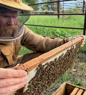 Quapaw Nation Bee keeper holding bees
