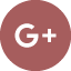 Review-Section-Google Icon-v1